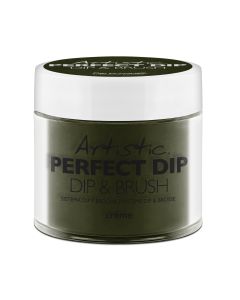 Artistic Perfect Dip Colored Powders My Favorite View